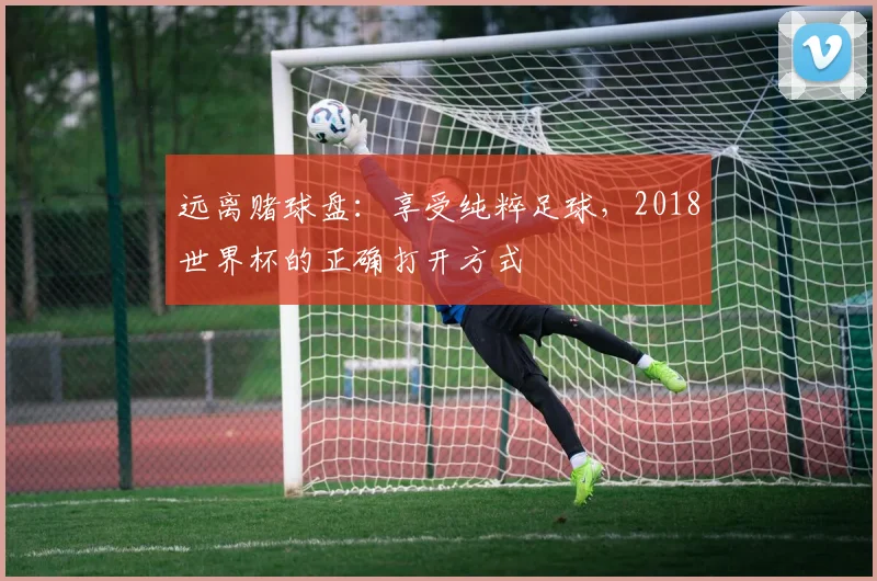 远离赌球盘：享受纯粹足球，2018世界杯的正确打开方式