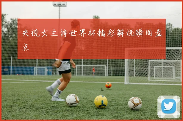 央视女主持世界杯精彩解说瞬间盘点