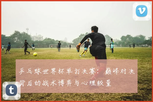 乒乓球世界杯单打决赛：巅峰对决背后的战术博弈与心理较量